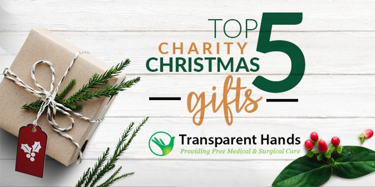 Top 5 Charity Christmas Gifts  Transparent Hands